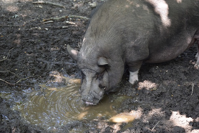 技术能力 技术能力