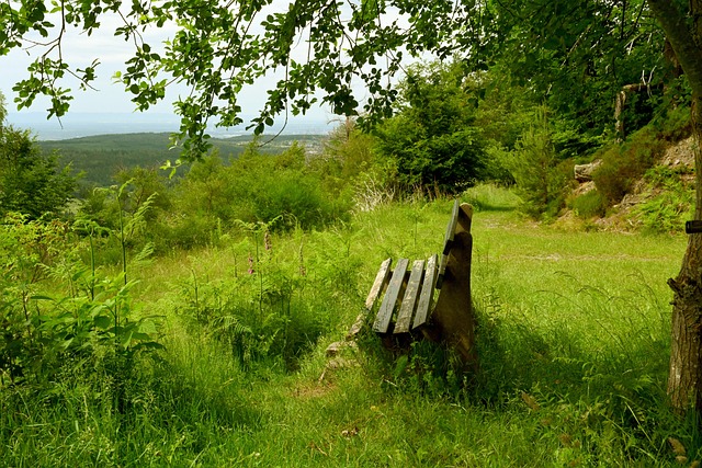 西班牙隊在 西班牙隊在