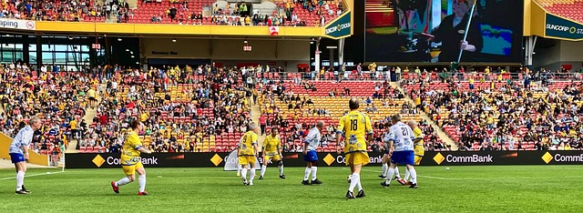 职业生涯的 职业生涯的